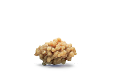 Logo | Behind The Stone